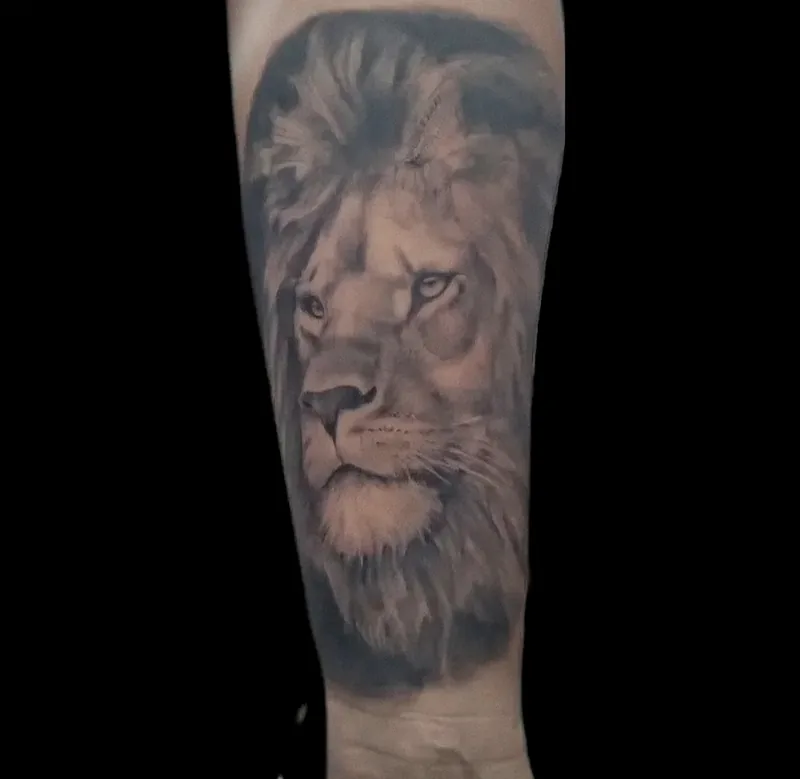 León realista en black & grey tatuado en el antebrazo